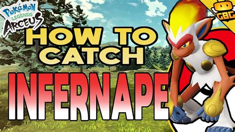 infernape|what level do you get infernape.